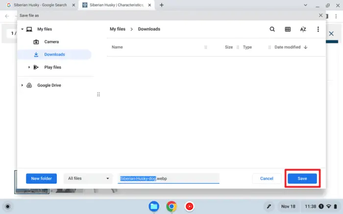 Screenshot 2022 11 18 11.38.44 - How to Save Images from the Web to Your Chromebook 11