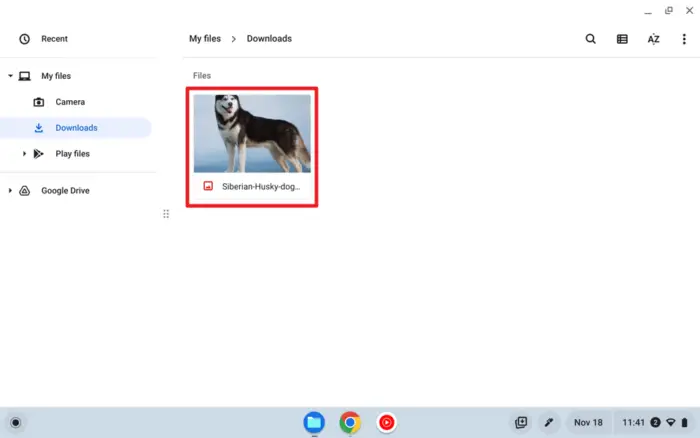 Screenshot 2022 11 18 11.41.06 - How to Save Images from the Web to Your Chromebook 19