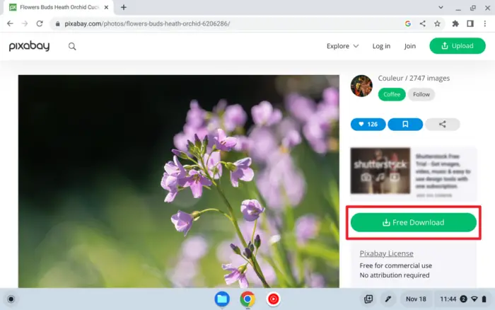 Screenshot 2022 11 18 11.44.07 - How to Save Images from the Web to Your Chromebook 21