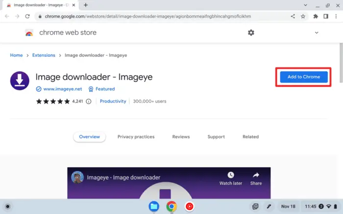 Screenshot 2022 11 18 11.45.23 - How to Save Images from the Web to Your Chromebook 23