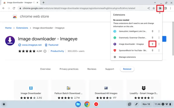 Screenshot 2022 11 18 11.46.30 - How to Save Images from the Web to Your Chromebook 27