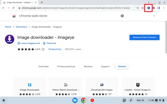 Screenshot 2022 11 18 11.46.58 - How to Save Images from the Web to Your Chromebook 29