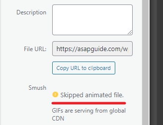 gif - How to Fix GIF Doesn't Animate on WordPress 17