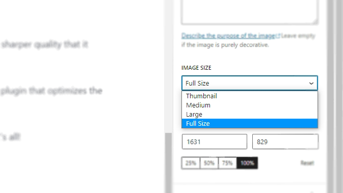 How to Set the Default Image Size When Uploaded in WordPress - How to Set the Default Upload Image Size in WordPress 17
