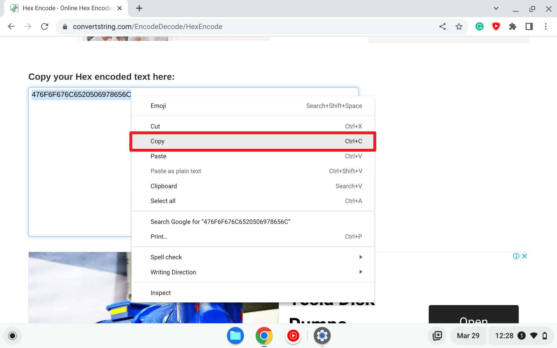 Screenshot 2023 03 29 12.28.30 - How to Find Saved WiFi Password on Chromebook, No Dev Mode 17
