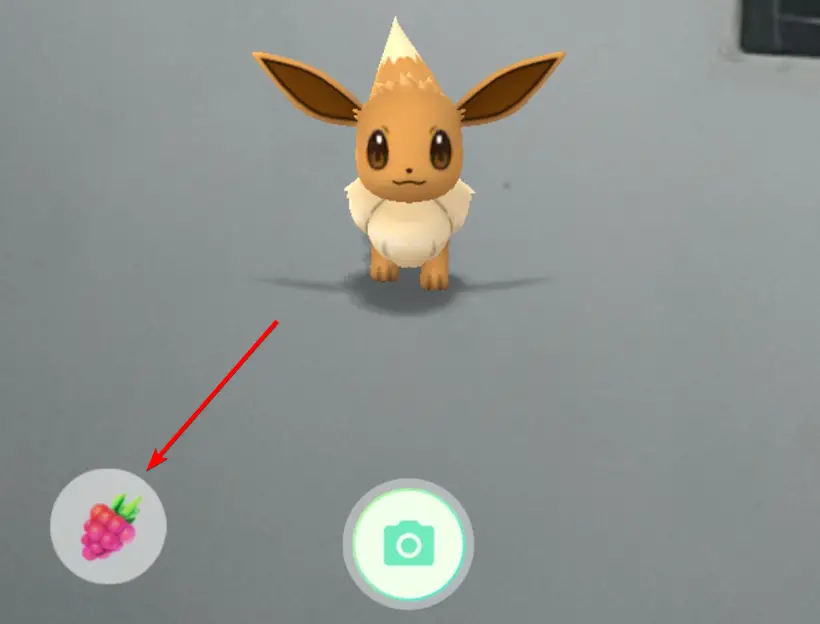 o12 - How to Get the 8 Evolutions of Eevee in Pokemon Go 25