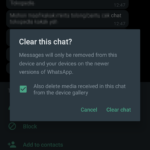 Screenshot May 10 2023 11 55 53 - How to Delete All Photos and Videos from a WhatsApp Chat 19