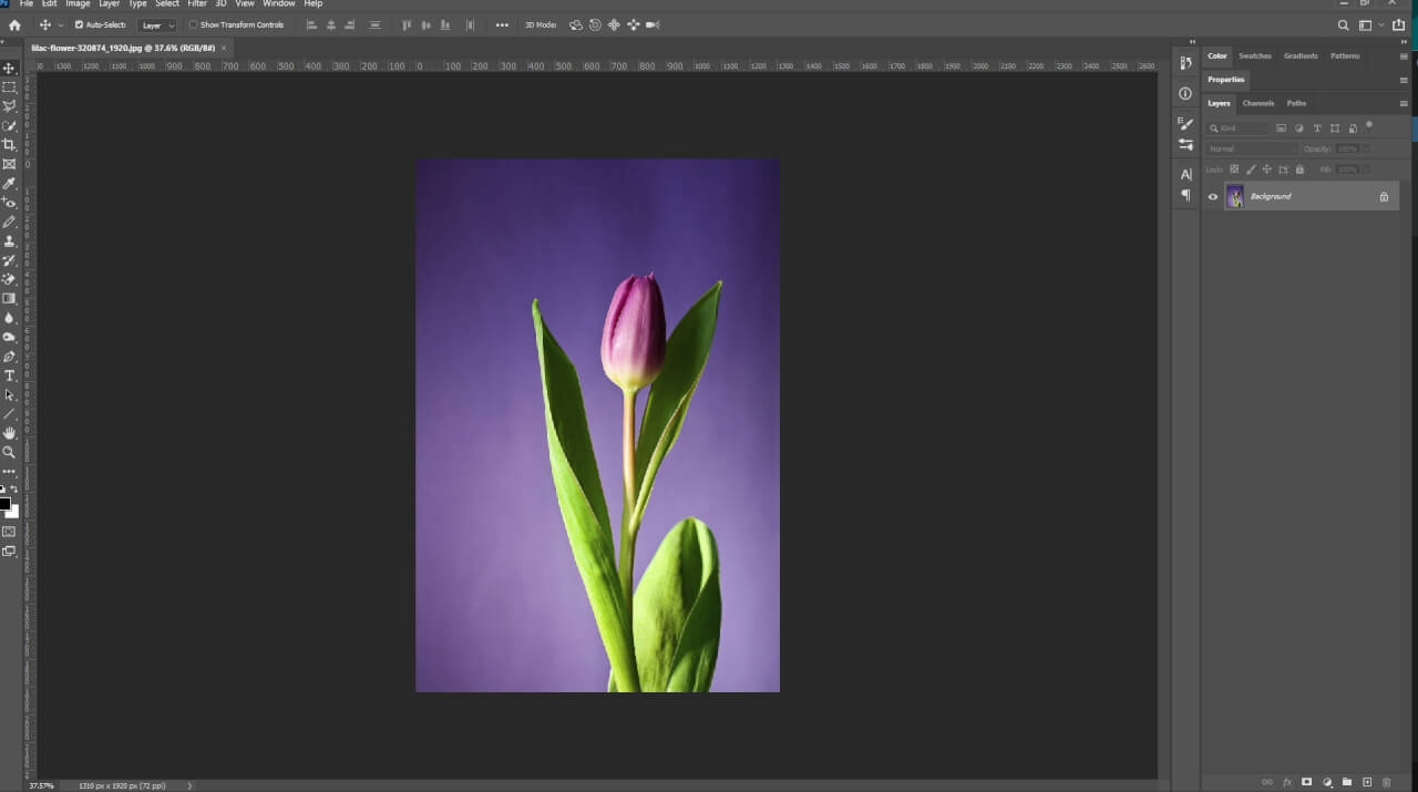 Image 128 - How to Use Luminar Neo as a Photoshop Plugin 13