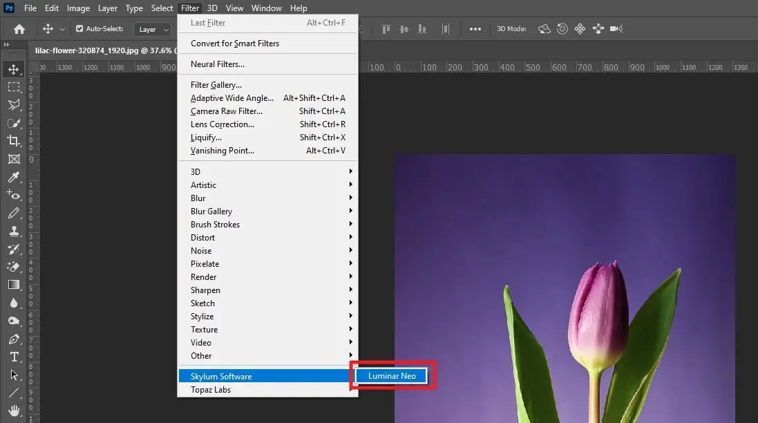 Image 129 - How to Use Luminar Neo as a Photoshop Plugin 15