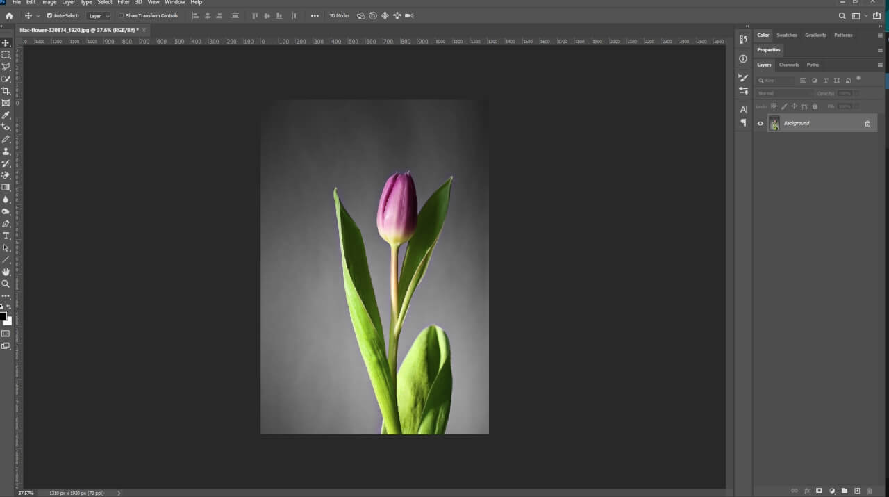 Image 133 - How to Use Luminar Neo as a Photoshop Plugin 23