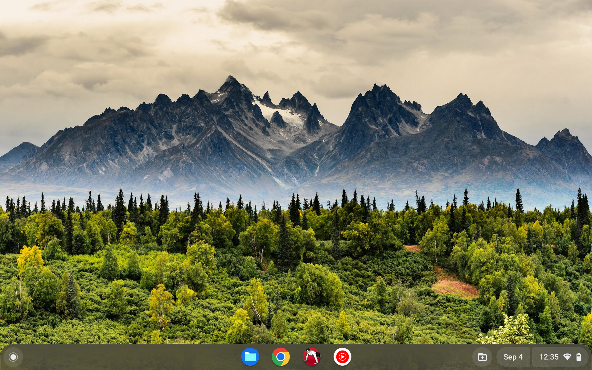 Screenshot 2023 09 04 12.35.54 - How to Change Desktop Background on Chromebook 19