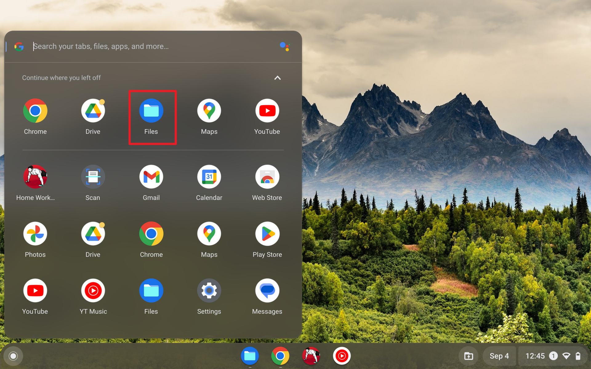 Screenshot 2023 09 04 12.45.36 - How to Change Desktop Background on Chromebook 21