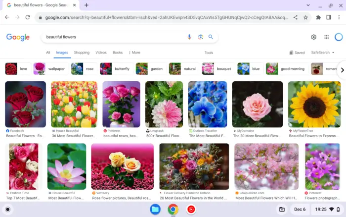 How to Save Images from Google on Chromebook - How to Save Images from Google on Chromebook 13