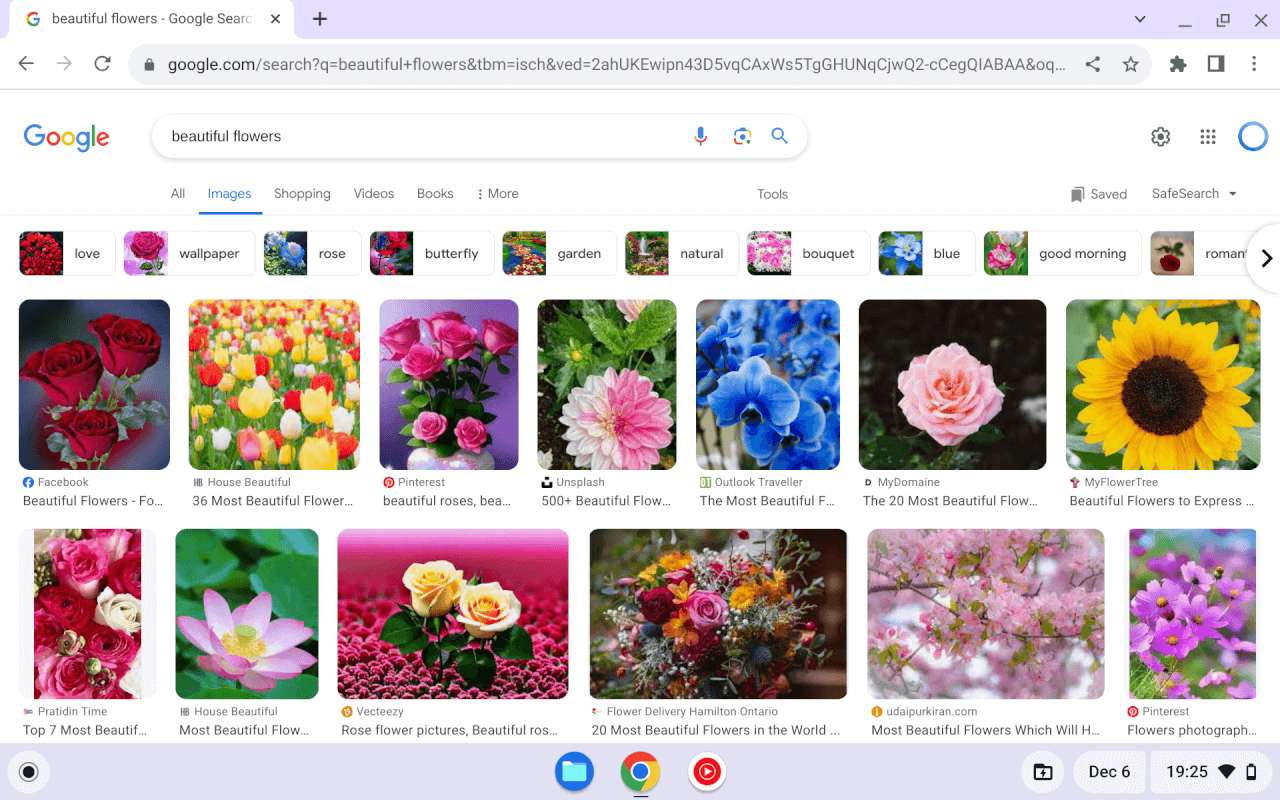 How to Save Images from Google on Chromebook