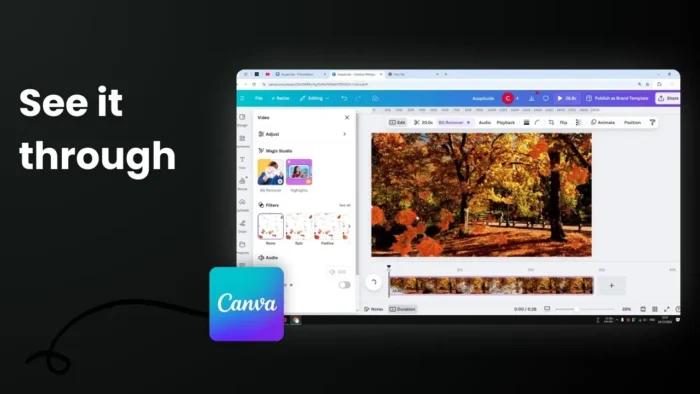 Make Videos Transparent in Canva For Creative Overlays