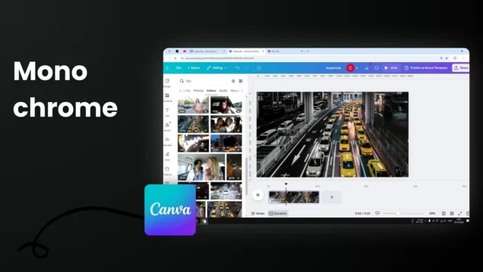 How to Make Your Videos Black and White in Canva