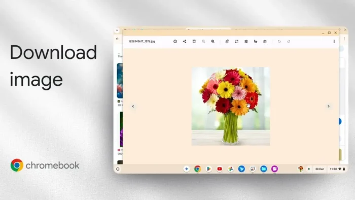 how to download photos from google to chromebook 1 - How to Save Images from Google to Your Chromebook 9