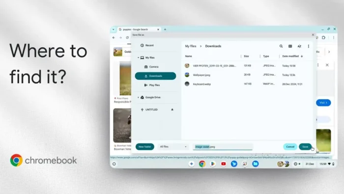 Where to Find Downloaded Photos on Chromebook and How to Open Them