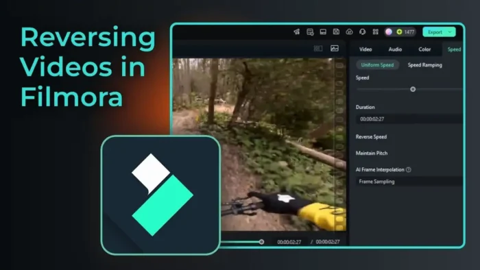 How to Reverse a Video in Filmora